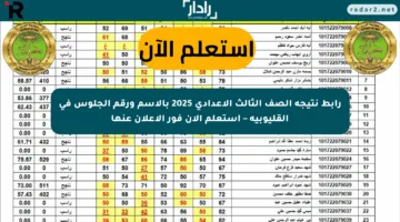 رابط نتيجة الصف الثالث الإعدادي 2025 بالاسم ورقم الجلوس في القليوبية – استعلم الآن فور الإعلان عنها